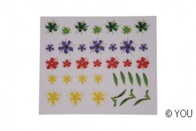 NA 4001 - Flower