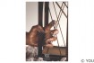 YOU Poster Cell 50 x 70