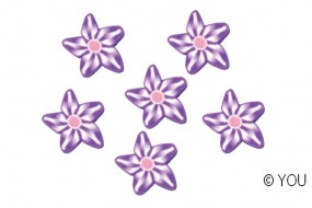 Blume-viola (25)