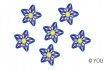 Blume-blau/viola (25)