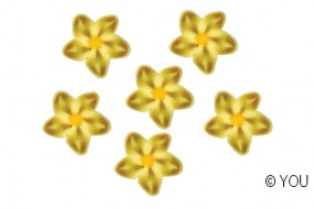 Blume-oliv (25)