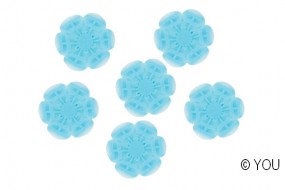 Saison-Eisblume hellblau (25)