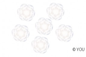 Saison-Eisblume weiss (25)