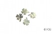 NA Shape Shell Kleeblatt (4 Stk.)
