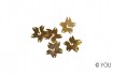 NA Shape Shell Blume (4 Stk.)