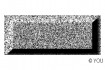 NA Glitter-Pulver schwarz