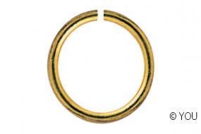 NA Piercing gold-Look 5 Stk.